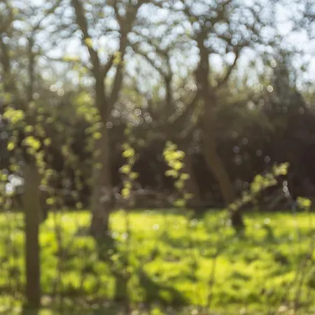 The Hill * Baldersby