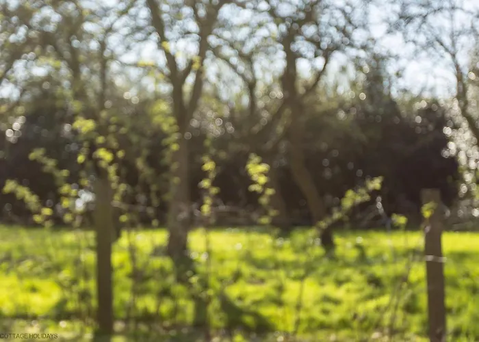 The Hill * Baldersby